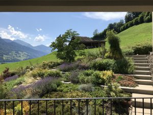 Gartenbau Einfamilienhaus Schwyz 1
