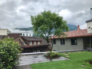 Privatgarten Schwyz Rasen Baumpflanzung
