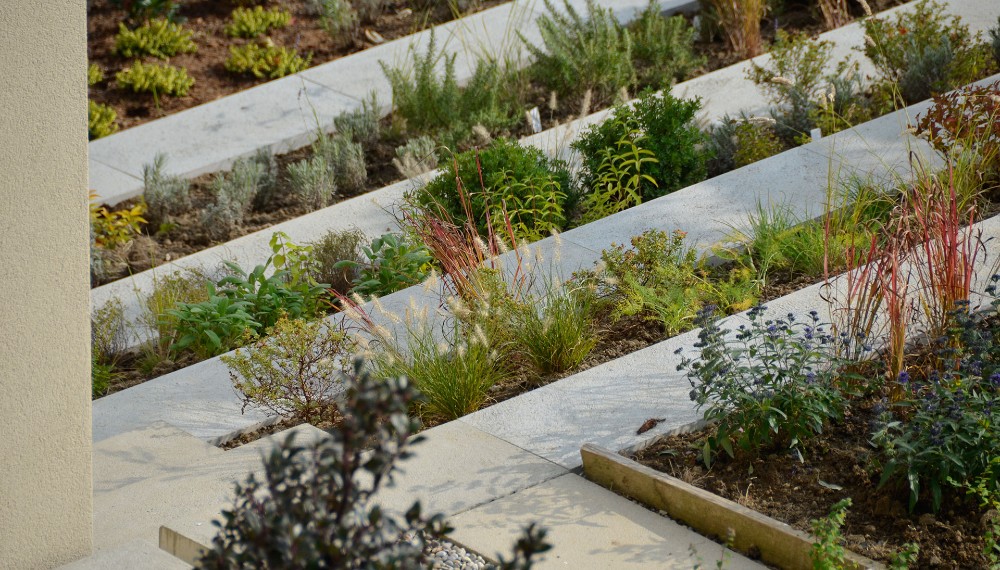 Begruenung-garten-gaertner