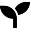seedling-solid-30